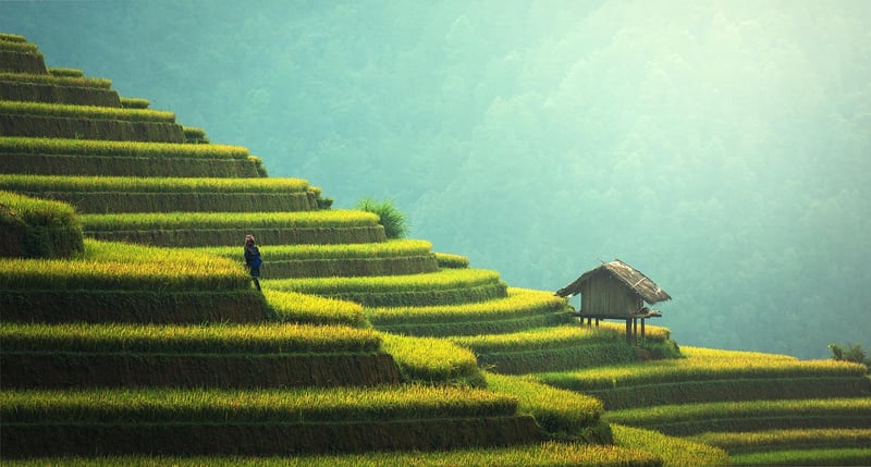 Sustainable Eating